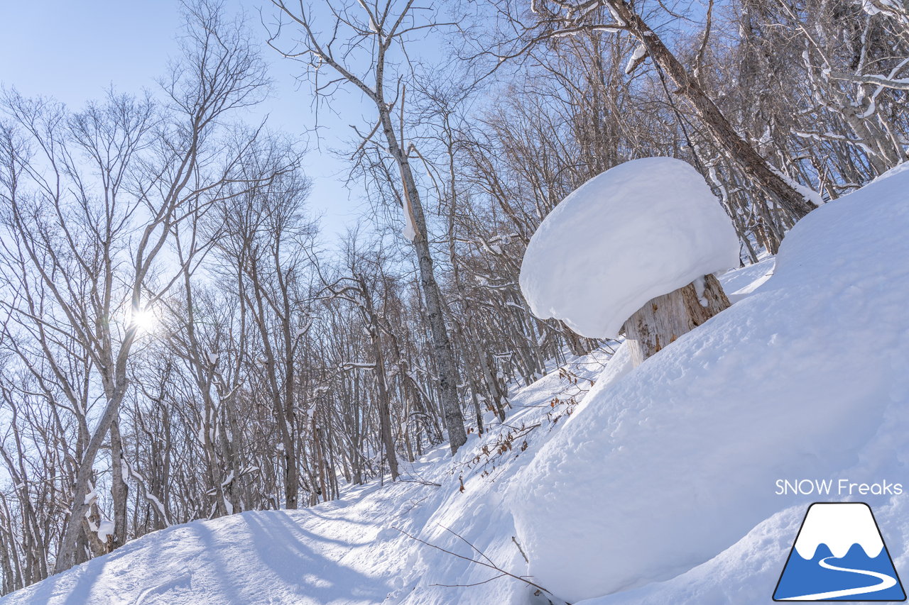 札幌藻岩山スキー場｜本日、雲一つ無い快晴！札幌藻岩山の全10コースの滑走にチャレンジ(^^)/